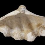 This shell (Tridacna Clam Shell), decorated with a feminine face, was found in a tomb at Vulci, Italy, and is currently on display in the British Museum, London.