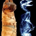 Egyptian Mummified Animals Contain Hidden Surprises.