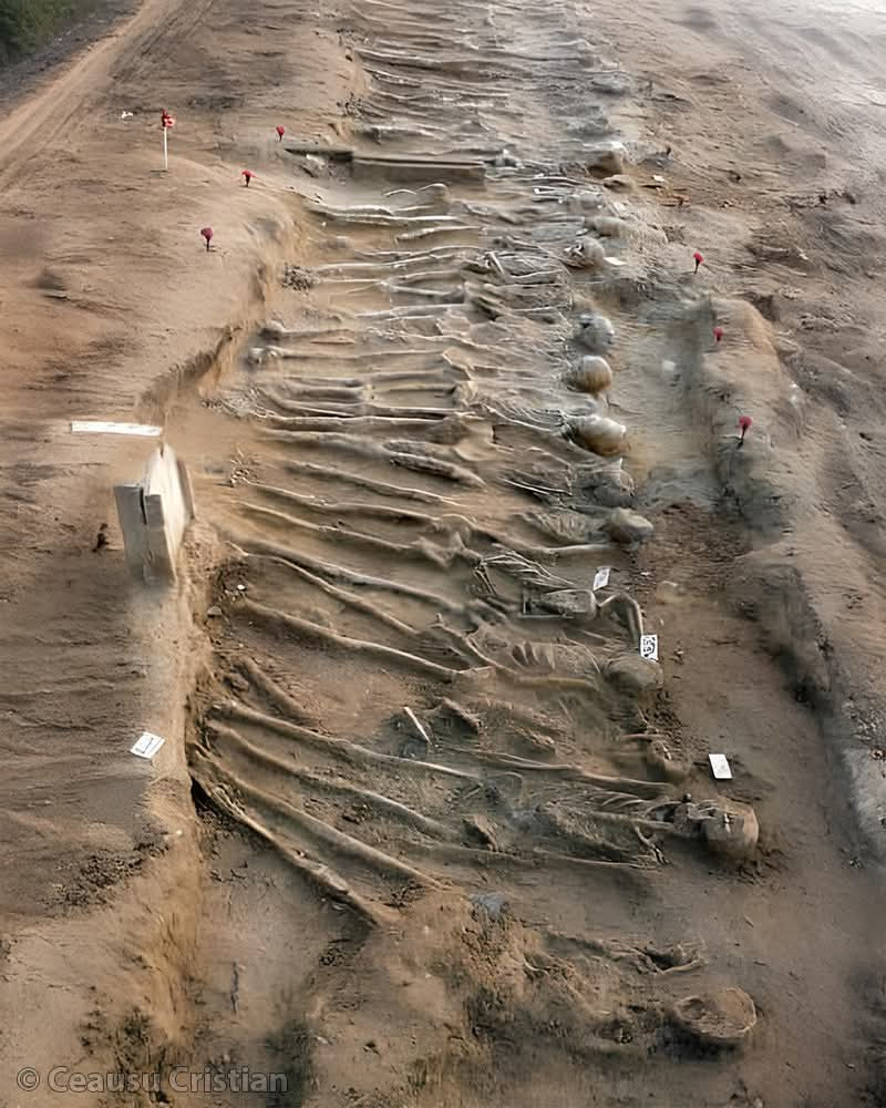 These skeletal remains are those of Greek warriors who participated in the 480 BCE Battle of Himera, located near today’s Palermo in Sicily.