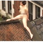 Confusion:See what a woman spotted doing on a  roof of Toynbee Studios