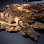 A family of eight Inuits frozen for centuries are the best-preserved mummies ever found in North America.