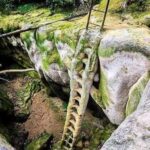 Petrified iron ladder, somewhere in France. The ladder most likely underwent the process of calcification.