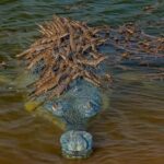 A crocodile with hundreds of its babies is the wildest photo of the year.