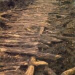 In the 1980s, archaeologists uncovered a remarkable Neolithic wooden road near Nieuw-Dordrecht in the Netherlands.