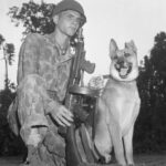 This photo, taken on December 8, 1943, in Bougainville, Papua New Guinea, shows PFC Homer J. Finley Jr., (U.S. Marine Corps) and his four-legged comrade “Jack”, a Belgian Shepherd of the 1st Marine War Dog Platoon.