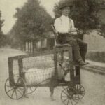 A man sat confidently at the reins of his one-of-a-kind vehicle—a homemade carriage pulled by a team of strong, sure-footed goats.