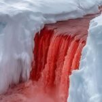 In the heart of Antarctica, nature creates an incredible sight: a red waterfall cascading through the perennial ice of the Taylor Glacier.