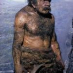 Neanderthals and humans interbred for approximately 7,000 years, according to a recent study.