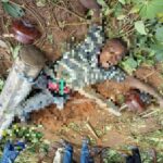 Man Dies After Pole Falls On Him While Attempting To Steal Electric Cables. 