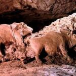 14000 YEARS OLD BISONS SCULPTURE FOUND IN LE TUC D’AUDOUBERT CAVE. ARIEGE, FRANCE.