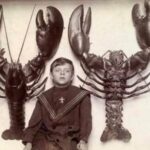 During the 1700s lobsters were so plentiful that they used to wash ashore on Massachusetts beaches in piles up to 2 feet high.