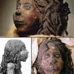 The mummy of Queen Nodjmetca, dating back to 1069-945 BCE, is an important relic from the Third Intermediate Period during the 21st Dynasty.